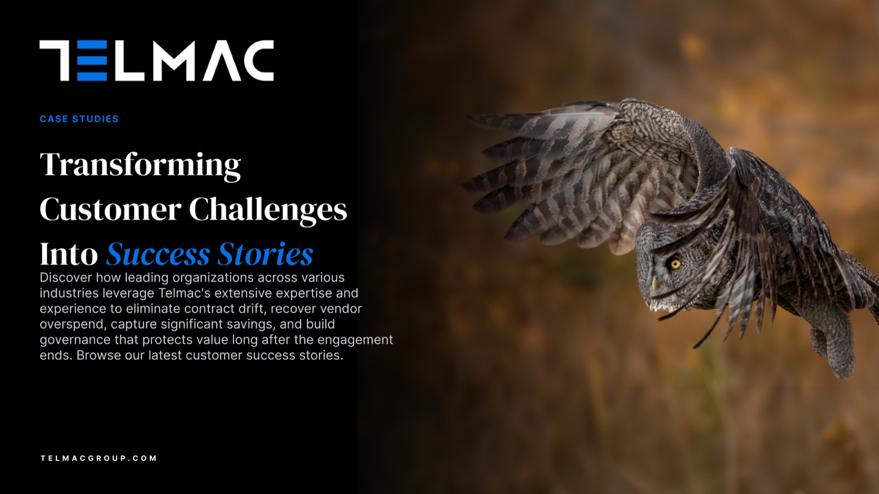 Telmac case study cover, Transforming Customer Challenges Into Success Stories, set against a great grey owl in flight.