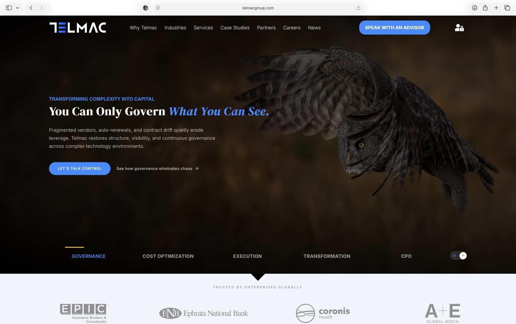 The Telmac Group homepage, dark hero with a great grey owl in flight and the line You Can Only Govern What You Can See.